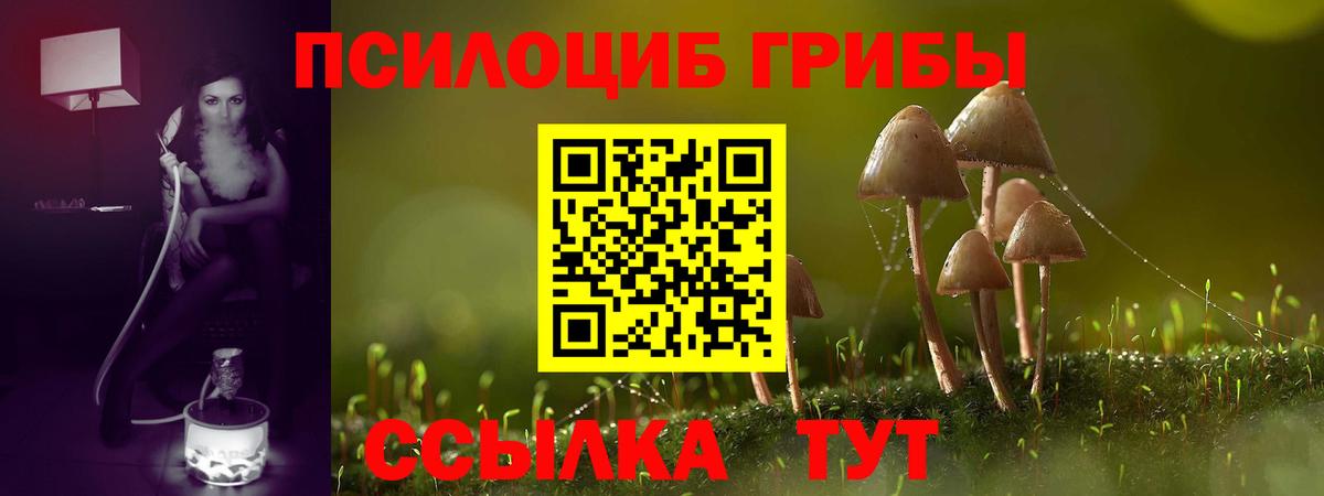 Псилоцибиновые грибы мицелий  Вход с VPN  Качканар 